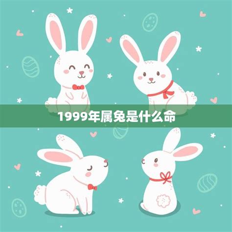 1999属兔|属兔人99年的性格与一生运势 1999年属兔人一生命运